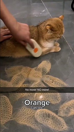 Orange cat core compilation