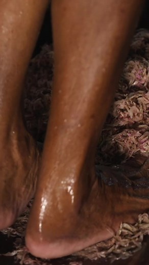 Do people still stomp on grapes to make wine? 🍷 The short answer is yes! 🍇 Also known as foot treading, some wines like port wine from Portugal are still being made using this method. 👣 Aside from wine, people from other parts of the world like the Philippines and India use stomping as their means of transforming something so simple into a product that is uniquely their own. Have you watched our last video on how Guinamos is made? 🦐 | FEATR