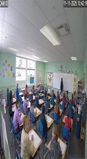 Husky falls in Classroom #husky #classroom #funny #sora #viral