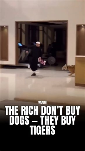 What's the REAL Difference Between Option A and Option B for Achieving Success