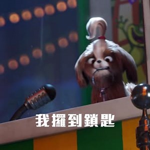 3.4K views · 50 reactions | 【毛毛救地球】 扣好安全帶，踩行油，去拯救世界！ #超級英雄的秘密...