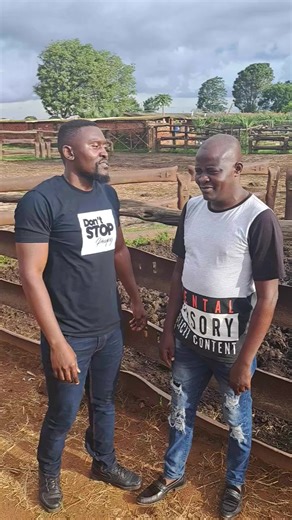 457K views · 25K reactions | Dumbwi or B'Flow? The most epic and dramatic rap battle in the history of Zambian music藍 | B Flow | Facebook