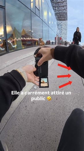 Guillaume | 📸 Photographe canin 🐶 on Instagram: "Elle charme tout les passants 🥹 📸 Envie de faire des photos magnifiques de votre chien avec votre smartphone ? Ma formation complète est ici 👉 https://guillaume-lpa-photography.fr/formation 🎁 Offre lancement : -35% pour les 50 premiers participants avec le code FORMA35 #staffy #streetphotography #doglover #chien #photographecanin #rencontre #amstaff"