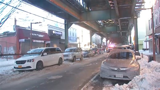 Cold causes cable to fall from elevated subway tracks onto cars below in Cypress Hills, Brooklyn