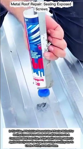 Metal Roof Repair: Sealing Exposed Screws