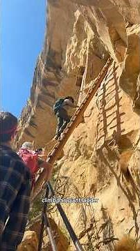A tour of the cliff dwellings at Mesa Verde National Park!
