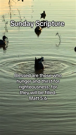 Sunday scripture #christiancontent