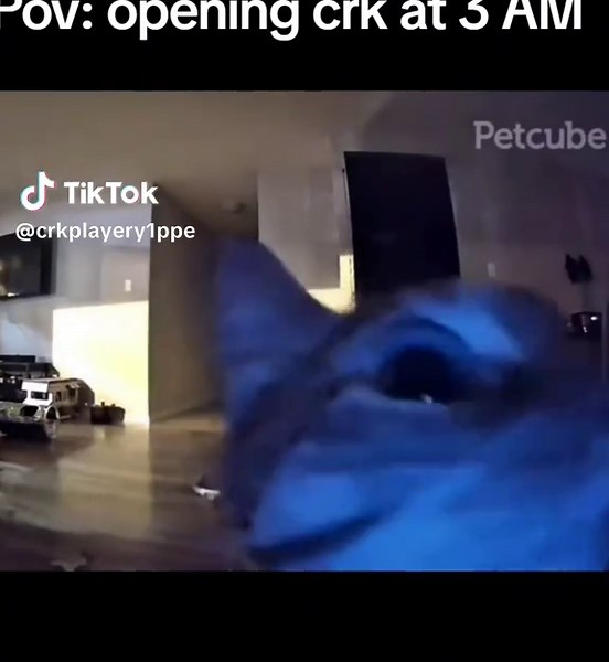 Cookie Run Kingdom Gameplay at 3 AM