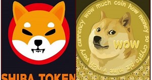 Shiba Inu Defeats Dogecoin in Quarterly Results of 2021, Stays True to its Tagline 'The Doge Killer'