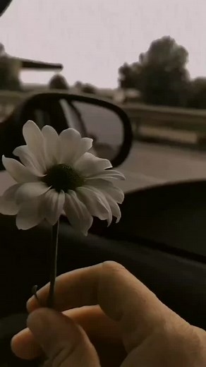 Jitni Dafa💝🔐 #instgram #trending #sad #song #post #reels #viral #video #love_boy8436 | Itz Rakesh