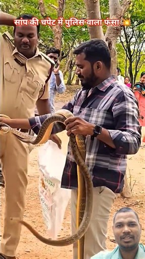 सांप की चपेट में पुलिस वाला फंसा देखिए कैसे क्या होता है #snake #cobra #kingcobra #youtubeshorts