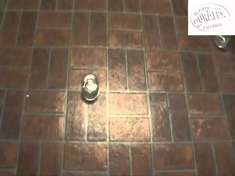 Duralex Glass Presentation