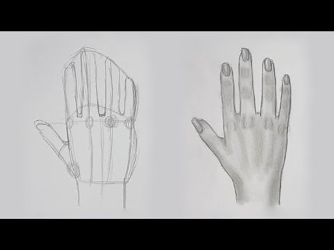 How to Draw a Realistic Hand with Pencil [Black and White]
