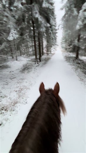 Zvalgas _267 (@enrico_766)’s videos with son original - Roy