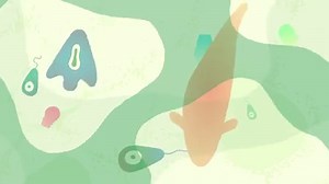 608K views · 5.4K reactions | Have ASMR? Let the sounds from this tide pool wash over you. | Tatered | Facebook