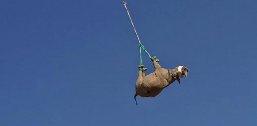 あいかわらずブッ飛んだ研究ばっかり。2021年イグノーベル賞まとめ！