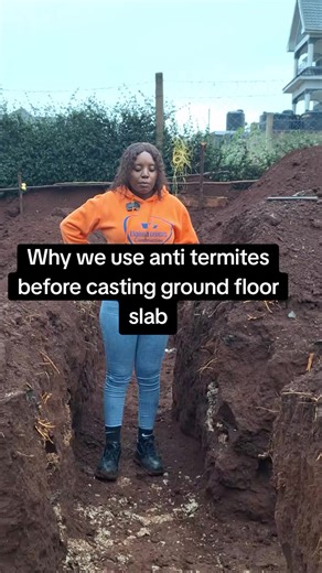 Importance of Anti-Termite Treatment in Construction