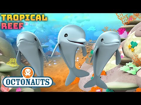 ​‪@Octonauts‬ - 🪸 Coral Reefs & Bottlenose Dolphins 🐬 | Compilation | ‪@Kidzuko‬​