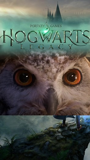 All Hogwarts Legacy Trophies! #harrypotter #hogwartslegacy #hogwarts #hogwartslegacythegame #wizard #witch #Trophies #hogwartslegacytrophoies
