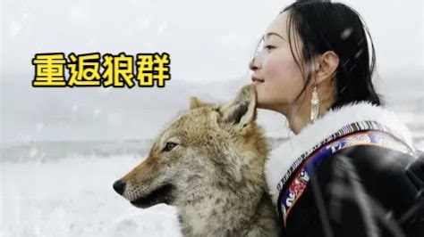 Return.To.The.Wolves.2017.2160p.HQ.WEB-DL.H265.10bit.AAC