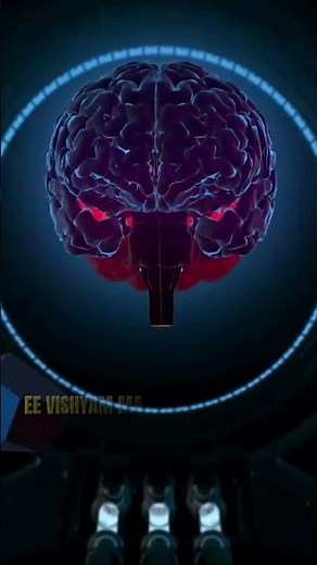 How to Increase Memory Power Fast | 3 Scientifically Proven Study Hacks | #interstudents #studytips