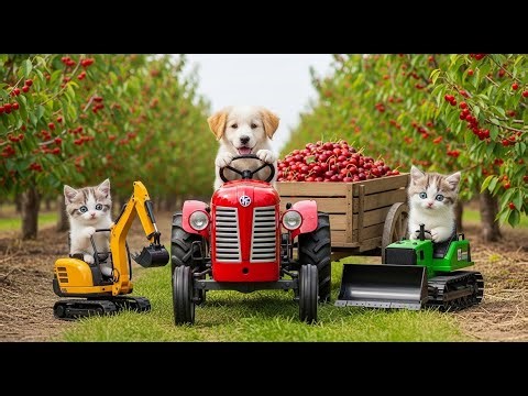 Mama Cat Trims Her Gentle Art of Grooming Kittens Revealed!