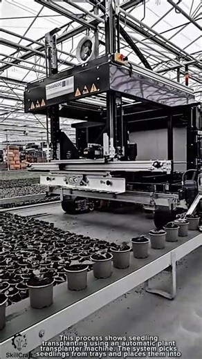 Seedling Transplanting Work Tool Using Automatic Plant Transplanter Machine Tool #worktool