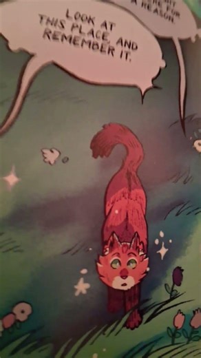 ocean eyes spottedleaf&firestar #warriorcats