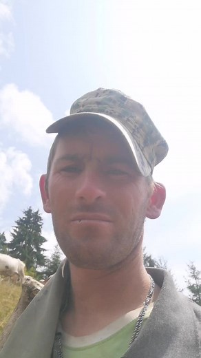 Exploring Rural Life: A Guide to Farm Activities