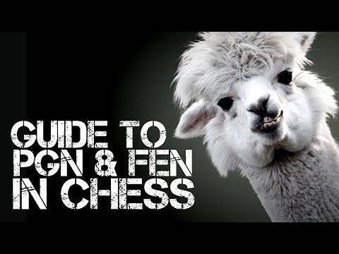 Guide to PGN and FEN in Chess