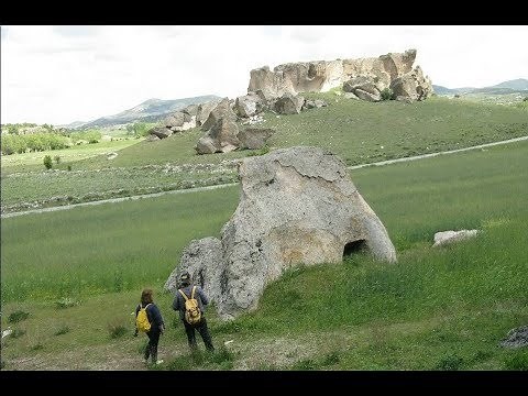 WISE UPs greatest petrified giant bone finds on the net