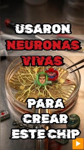 Este chip de neuronas vivas ya juega Doom 🧠🚫 #Cortical #neuronas #ciencia #ia #doom