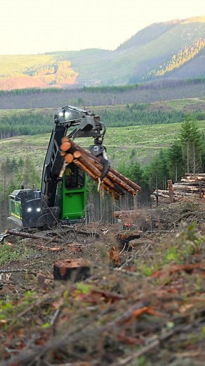 Logging Equipment at Work in Oregon Forest
