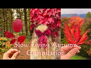 🍁Slow Living Autumn Compilation Video🍄Cozy Fall Aesthetic, Calm Music & Peaceful Ambience 🕯️
