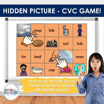 Hidden Picture - CVC Word Decoding Game! - Science of Reading