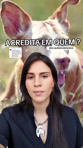 Ração Faz Mal Para Cachorros? Descubra a Verdade!