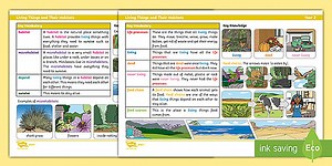 Science: Living Things and Their Habitats: Year 2 Knowledge Organiser