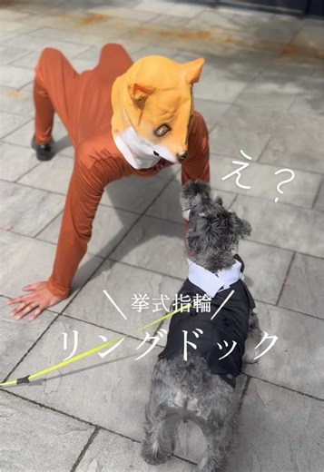 リングドッグでの素晴らしい結婚式の瞬間