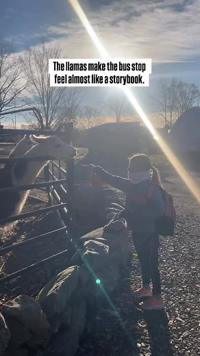 1K views · 168 reactions | There is this little ritual that happens...