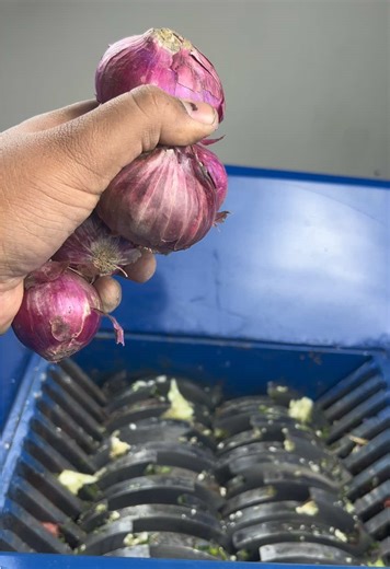 Epic Shredder Moments Unleashed