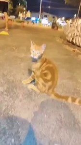 31 reactions · 5 comments | Caso externo  Bebé abandonado busca un...