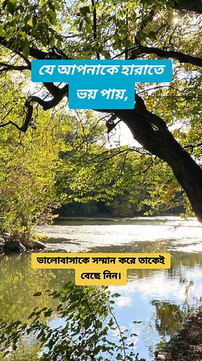 14K views · 246 reactions | যে আপনাকে হারাতে ভয় পায়। #lifelessons #InspirationBangla #PureProgress #banglamotivation #lifelesson #reelsvideoシ #reelsviralシfb #viralreelsシ #reelvideo | Pure Progress | Facebook