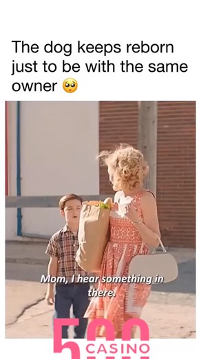 next_scenemedia on Instagram: "A Dog’s Purpose (2017) follows a loyal dog who reincarnates through several lifetimes, serving different owners while seeking the meaning of his existence. Through love, loss, and companionship, he learns that his true purpose is to bring joy, comfort, and unconditional love to the humans who need him most. - Imdb - Amazon Prime Video - Tubi (free with ads) - Hulu(free trial) - Apple TV - Netflix - Just watch Follow us for exclusive movie clips, titles, and recomme