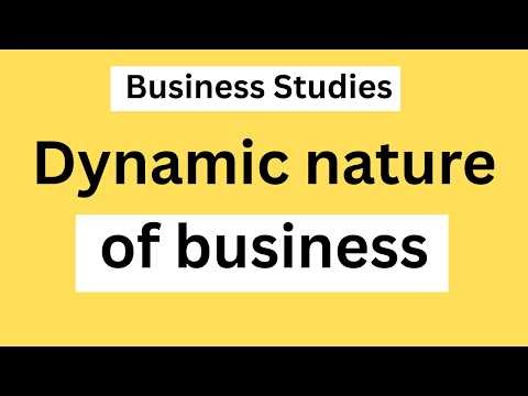 What does Dynamic nature of business mean