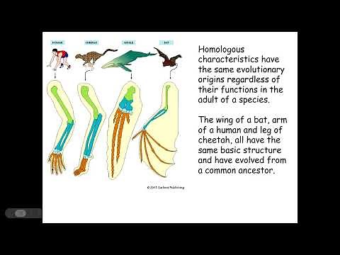 4.2.2. Classification and Evolution (g) The types of adaptations of organisms to their environment