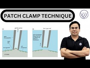 PATCH CLAMP TECHNIQUE | CELL BIOLOGY FOR CSIR NET | NILESH SONI