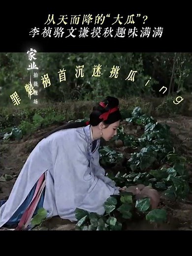 所以你的意思是南瓜会反弹是吗 # 家业 # 杨紫 # 李祯 # 韩东君 # 骆文谦