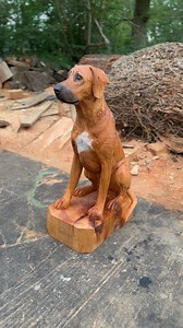 51K views · 2.4K reactions | Detailing this Rhodesian Ridgeback 朗 #dog #rhodesianridgeback #artwork #reelsart #sculpture | Michael Jones Chainsaw Sculptor | Facebook
