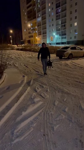 Когда в душе бунтарь😎#буч #французскийбульдог #Frenchbulldog #dog #собака #приколысживотными #волкипозорные #валкипозорные #бунтарь #вор #криминал