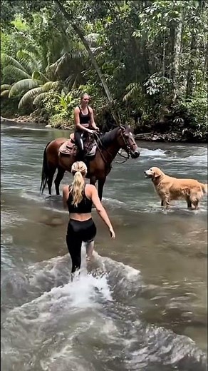 The state dog goes horseback riding with a woman.